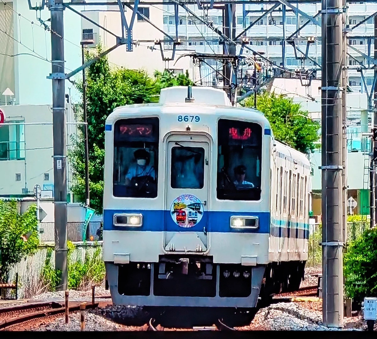 マゴメマゴメ on X: 