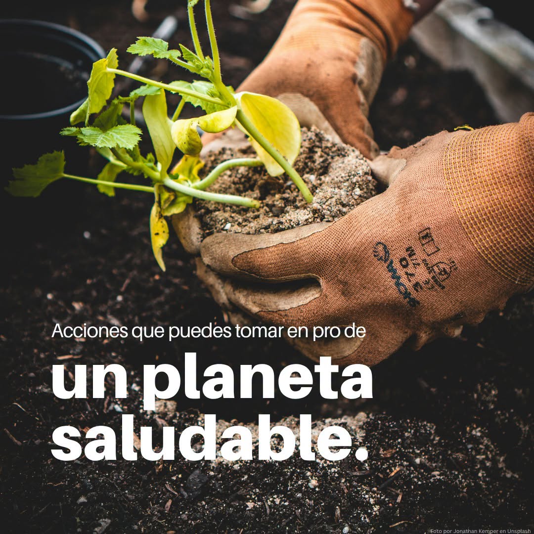 OscarReboraQRoo's tweet photo. Enfrentar el cambio climático exige políticas públicas firmes, pero también la participación de todas y todos. Las decisiones que tomamos cada día —ahorrar energía, reducir residuos, optar por una movilidad más sostenible o consumir de manera responsable— tienen un impacto que, multiplicado por millones de personas, puede transformar nuestro entorno.  

En Quintana Roo promovemos esa corresponsabilidad a través de acciones como Recicla por tu Futuro, una iniciativa que demuestra que la participación ciudadana construye una política ambiental más sólida.  

Conoce acciones sencillas que puedes incorporar a tu vida diaria para reducir tu impacto ambiental y contribuir a un futuro más sostenible: https://t.co/BwAGGnji9W