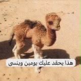 دحوم م م م م م م tweet media