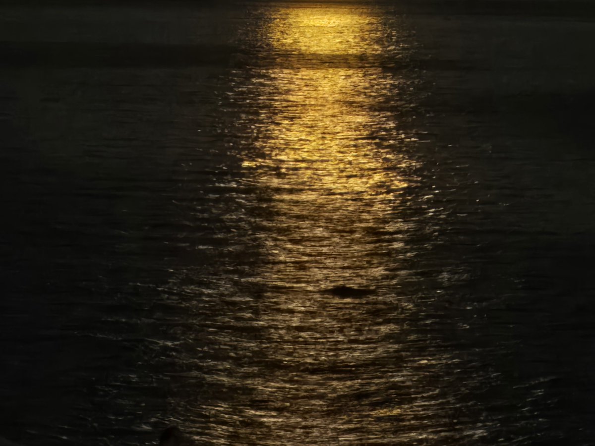 SylvanaPilidou's tweet photo. The different shades of #moonlight tonight within 25 minutes 🌑✨️✨️✨️ https://t.co/qSAWpYgyPN