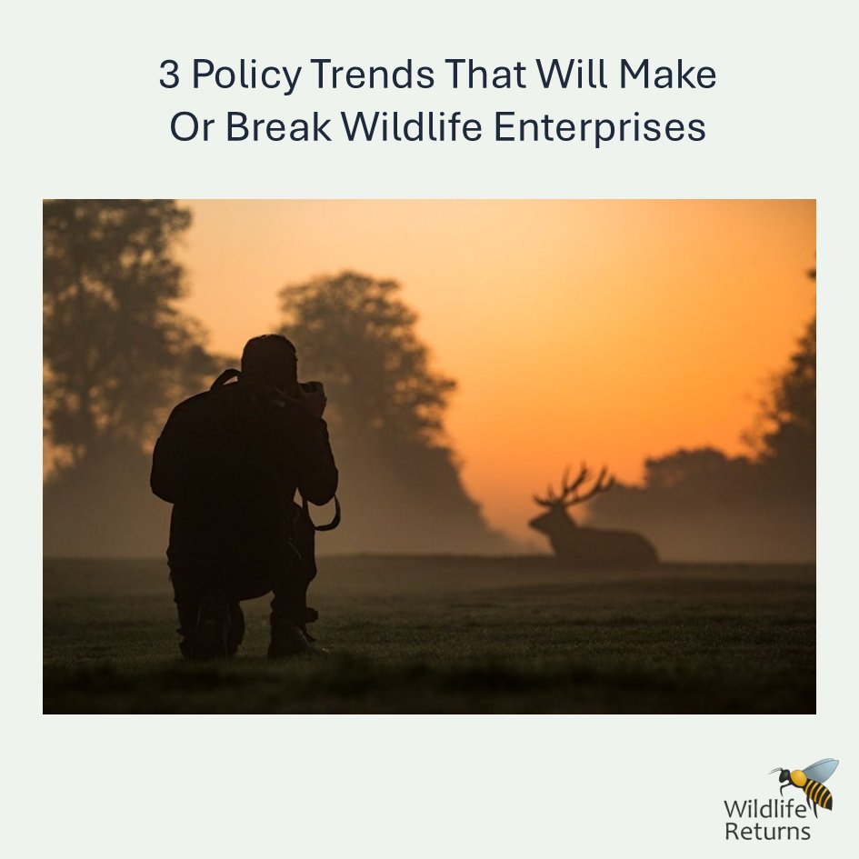 WildlifeReturns's tweet photo. What is the state of policy for potential wildlife entrerprises? 

I've been looking into what the regulatory landscape actually means for entrepreneurs and investors in the wildlife space. Three key areas keep coming up...

https://t.co/gFaiY11gz0 https://t.co/8OroF1GSss
