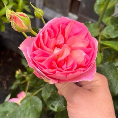 asmin_147's tweet photo. #YeniProfilResmi https://t.co/SBp1TwMrxq