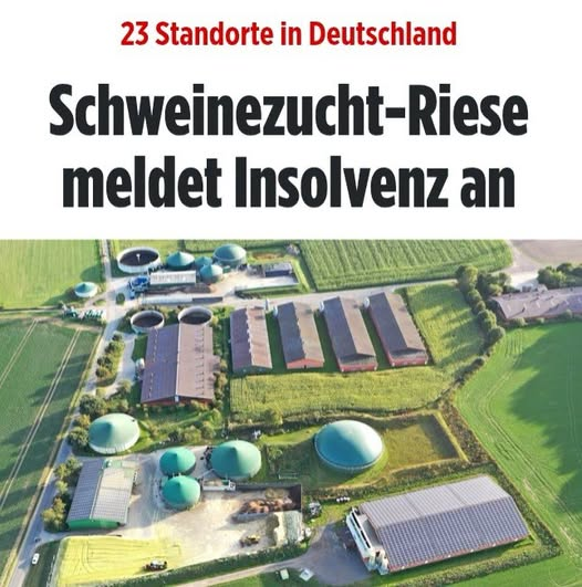 lud_nrw's tweet photo. #BRD #Linksextremes #Irrenhaus !!! 😡😡😡
-------------------------------------------------------
IMMER MEHR GEHEN #INSOLVENT... https://t.co/kDOUawIka1