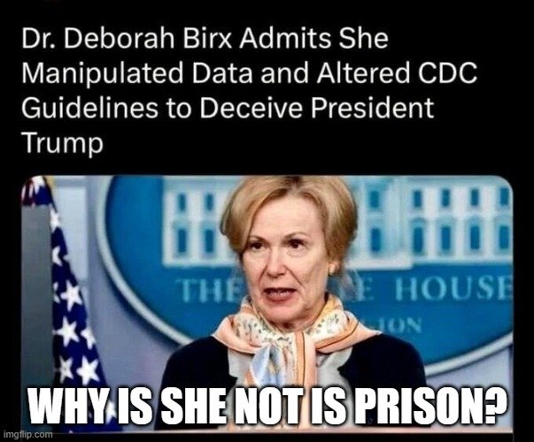 CRIXUSwasHERE's tweet photo. Dr. Deborah Birx didn't receive a pardon.
ARREST HER!!🤨👇 https://t.co/iibYbzYVBC
