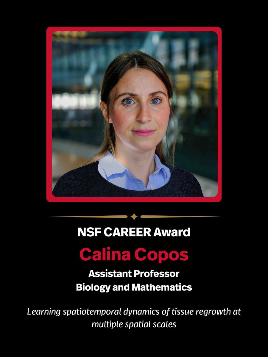 NortheasternCOS's tweet photo. Congratulations to Assistant Professors Alberto de la Torre and Calina Copos on receiving 2026 NSF CAREER Awards! 🎉 

This prestigious award recognizes their innovative research and potential to lead advances in their fields. 

#NortheasternCOS #COSConnects https://t.co/uE3e2NvRNO