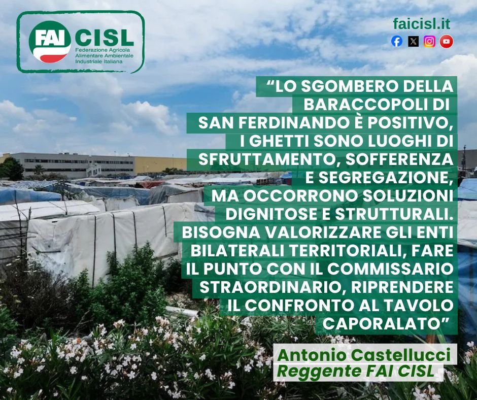 fai_cisl's tweet photo. Sgomberata la tendopoli di San Ferdinando, Castellucci: "Fatto positivo ma occorrono soluzioni dignitose e strutturali"
👇
“Lo sgombero completato oggi nella baraccopoli di San Ferdinando, con il progressivo trasferimento dei braccianti immigrati nelle strutture mai utilizzate di Rosarno, è positivo perché da sempre i ghetti rappresentano luoghi di sfruttamento, sofferenza e segregazione. È fondamentale però che ai quasi 200 lavoratori coinvolti, così come a tutte le centinaia di stagionali che tra qualche mese, quando ripartiranno la stagione agrumicola e quella olivicola, torneranno sul territorio, siano garantiti alloggi dignitosi e trasporti sicuri sul luogo di lavoro, evitando che simili realtà possano risorgere nel giro di pochi anni, come del resto già avvenuto dopo lo sgombero del 2019".
Lo afferma il Reggente della Fai Cisl nazionale, Antonio Castellucci.
➡️ "Occorre proseguire su questa linea - aggiunge il sindacalista - per evitare prossime sistemazioni non dignitose e quindi al contempo costruire da subito soluzioni strutturali, non temporanee, e per farlo è necessario anche valorizzare gli enti bilaterali agricoli territoriali".
➡️ "Sul tema delle soluzioni abitative e del contrasto al caporalato - afferma Castellucci - comprendiamo la complessità, ma serve al più presto sia un incontro con il Commissario straordinario per il superamento degli insediamenti abusivi che la ripresa del confronto al Tavolo interministeriale, bisogna fare il punto sui progetti approvati tramite fondi del Pnrr e sullo stato di attuazione delle misure intraprese dal Governo, a cominciare dal sistema informativo Silca per l'incrocio dei dati”.
➡️ “Garantire legalità, salute e sicurezza, buona contrattazione, inclusione, ai lavoratori e lavoratrici impegnati ogni giorno nei nostri campi, di cui oltre il 40% di origine straniera – conclude il Reggente Fai Cisl – è un obbiettivo irrinunciabile che deve vedere uniti istituzioni, imprese e parti sociali. È anche in tal senso che vanno ricordati i tragici fatti di Amendolara, sempre in Calabria, neanche due mesi fa, quando Fai e Cisl hanno di nuovo denunciato il caporalato come emergenza nazionale e rinnovato l’appello al Governo per un Patto della responsabilità, che metta al centro la persona e la qualità del lavoro"
#caporalato #ghetti #lavoro #braccianti #sanferdinando #partecipazione #sindacato