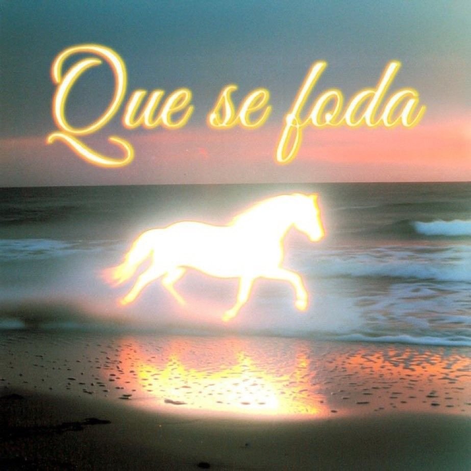 sounnine's tweet photo. queria ter a opção de nunca mais voltar pra franca https://t.co/hFh1RVGkEy