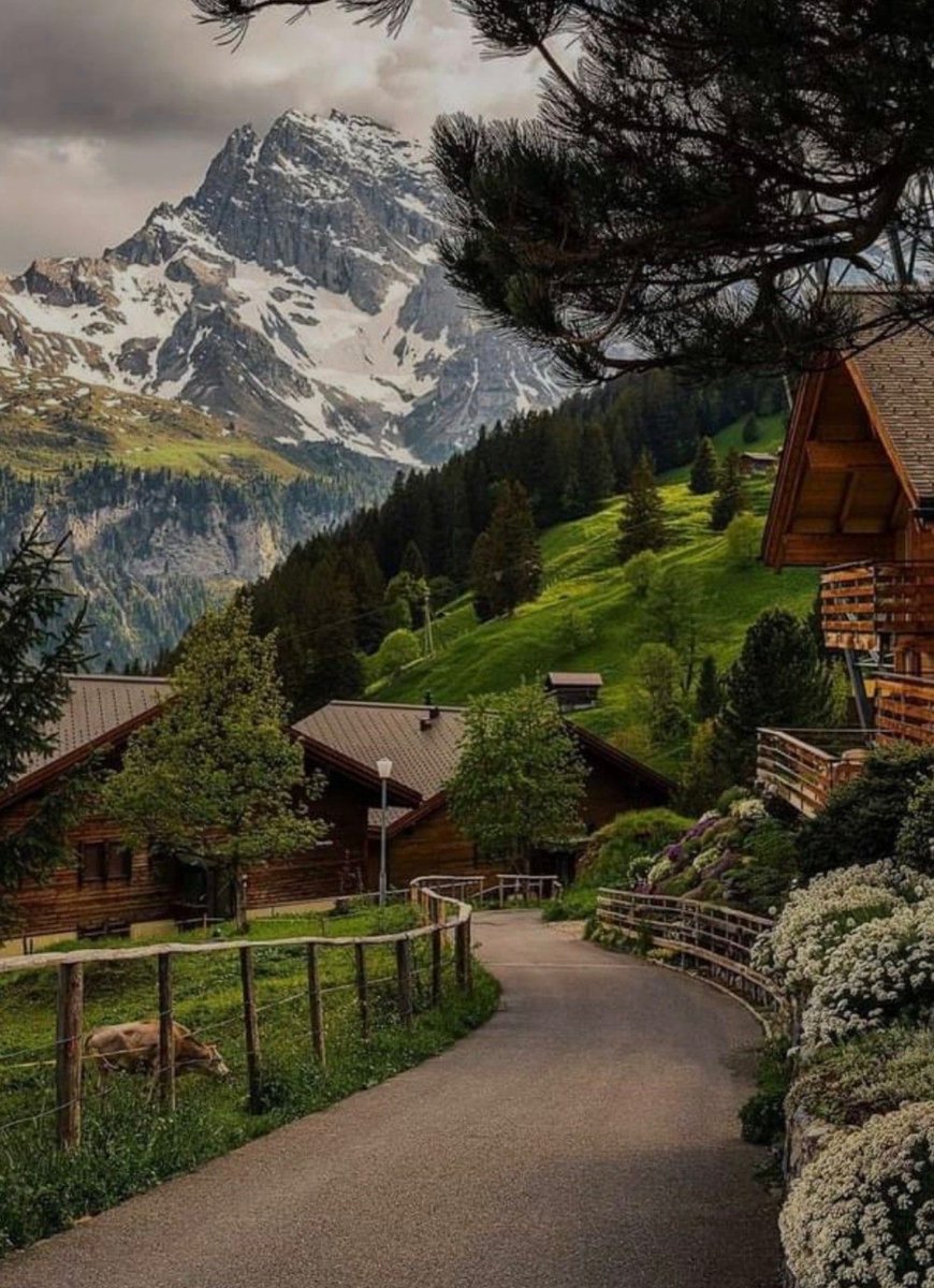 W0rld2026's tweet photo. Switzerland 🇨🇭 https://t.co/MVoXUYxhQD