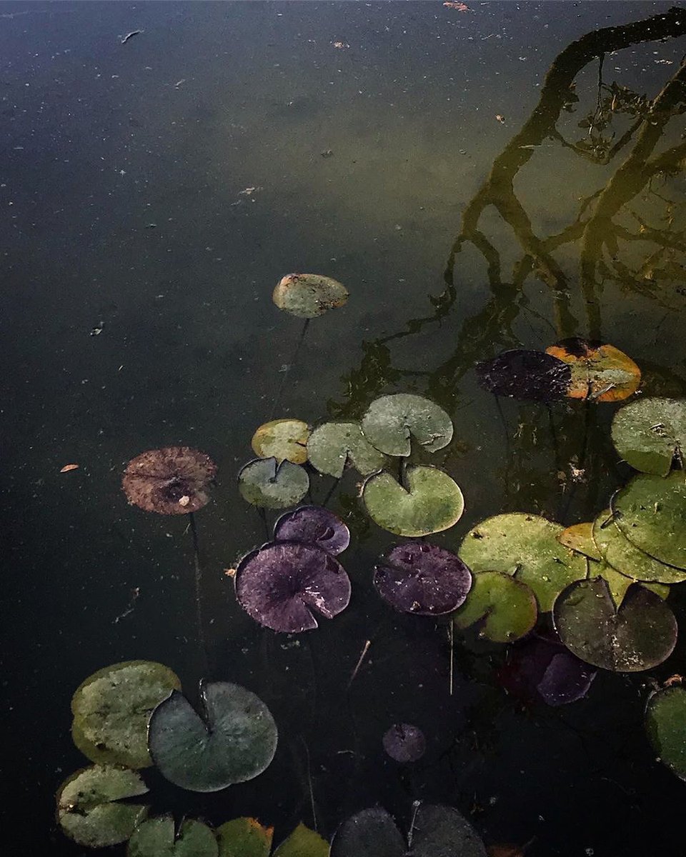 aestheticpost's tweet photo. https://t.co/ILobV51chX