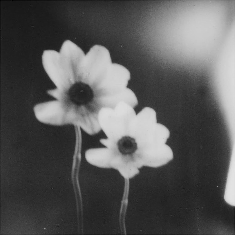 infoari's tweet photo. Ariana Grande sobre o álbum, “petal”:

“É um álbum muito experimental e diferente de tudo o que já fiz. Escrevi a partir de um lugar de onde normalmente não escrevo: uma raiva genuína e sem filtros, que acho que todos nós sentimos às vezes. Geralmente sou tímida demais para acessar esse lado e, desta vez, não filtrei tanto quanto costumo fazer. Normalmente reescrevo bastante para deixar as coisas um pouco mais gentis, um pouco menos diretas… mas, desta vez, não fiz isso.”