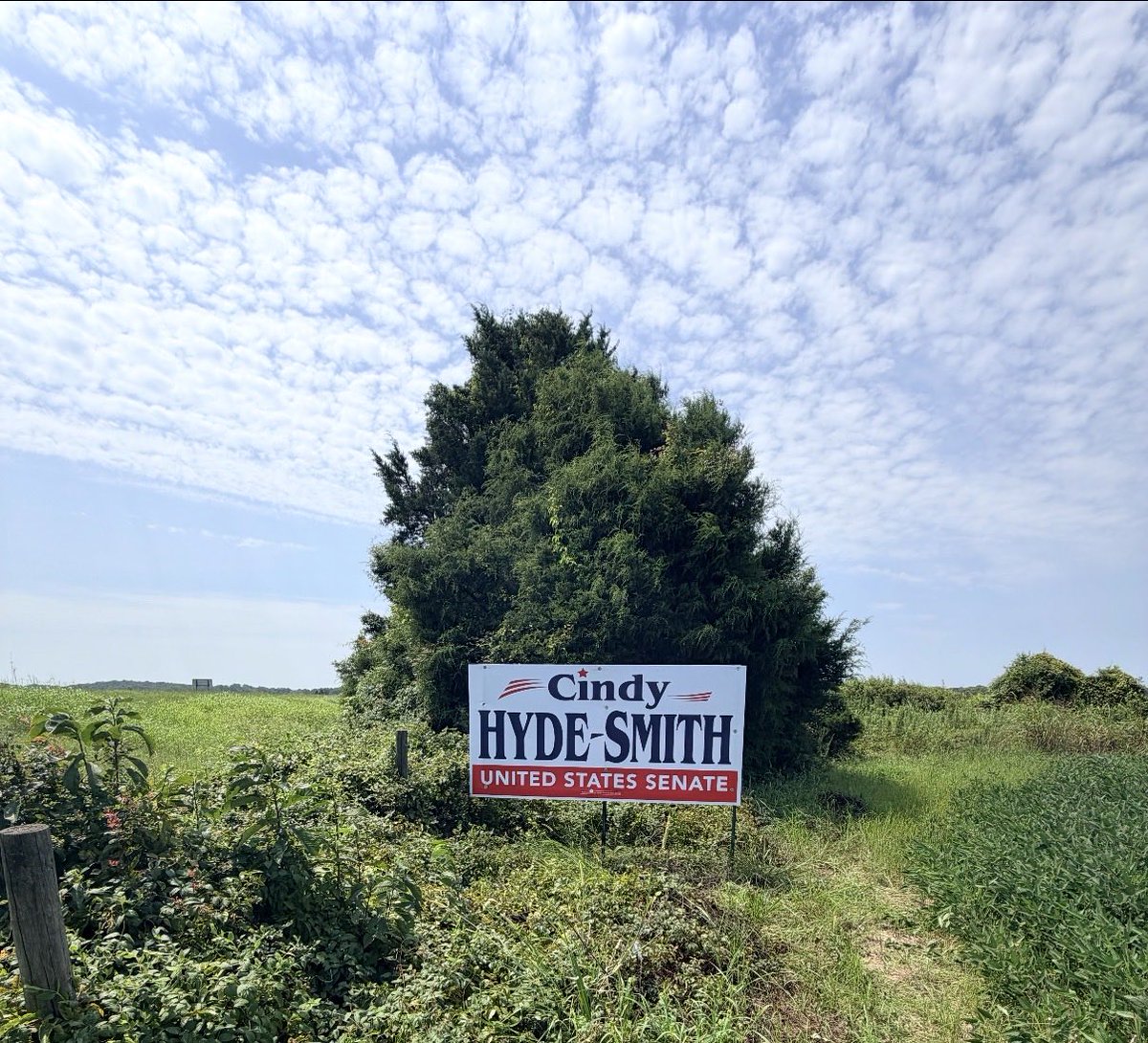 cindyhydesmith's tweet photo. Our campaign is on the move! Signs are going up across Mississippi, and the momentum keeps growing. Thank you to every supporter helping spread our message. Let’s keep Mississippi moving forward together. https://t.co/s3QhjT7kJb