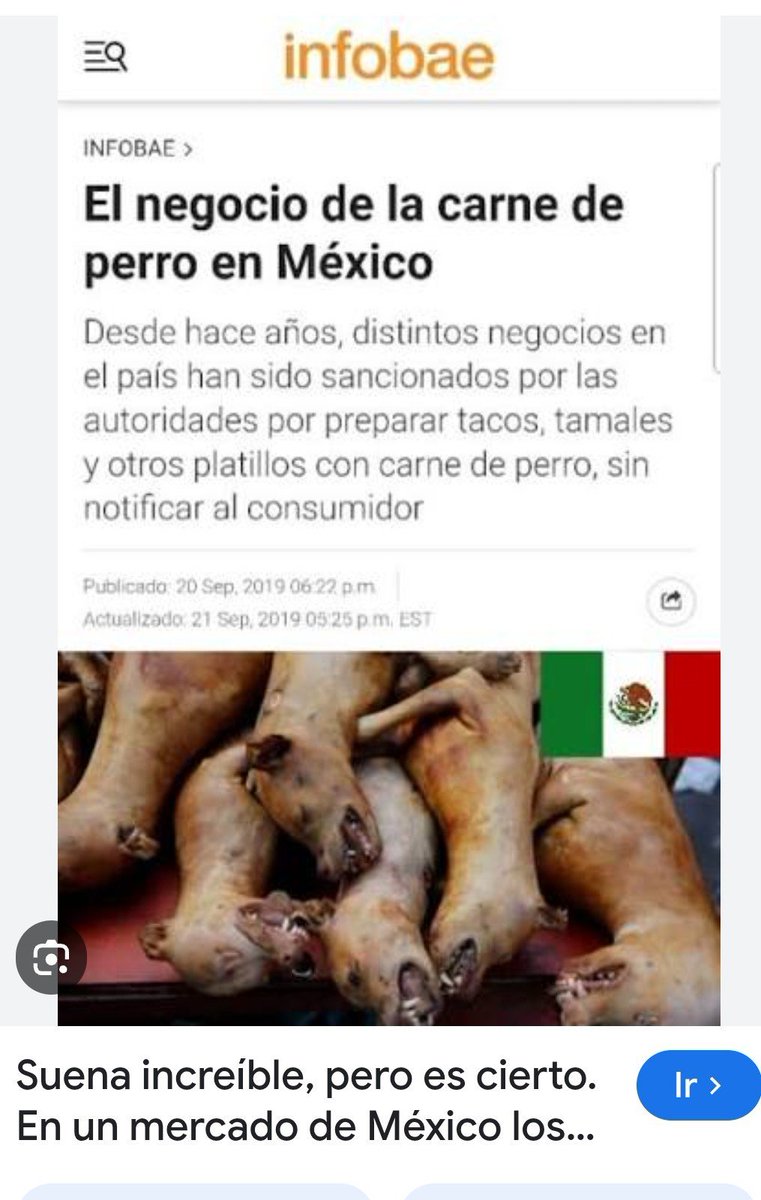 BouBou226's tweet photo. @Qcksz @MikePimento @LockerMenFan @tomaswvicente Prefiero andar con hambre(no es el caso) y no comerme a mi mascota, saltamuros! Ni ando presumiendo que no existen pobres ahí también! https://t.co/YpjEiKixNs