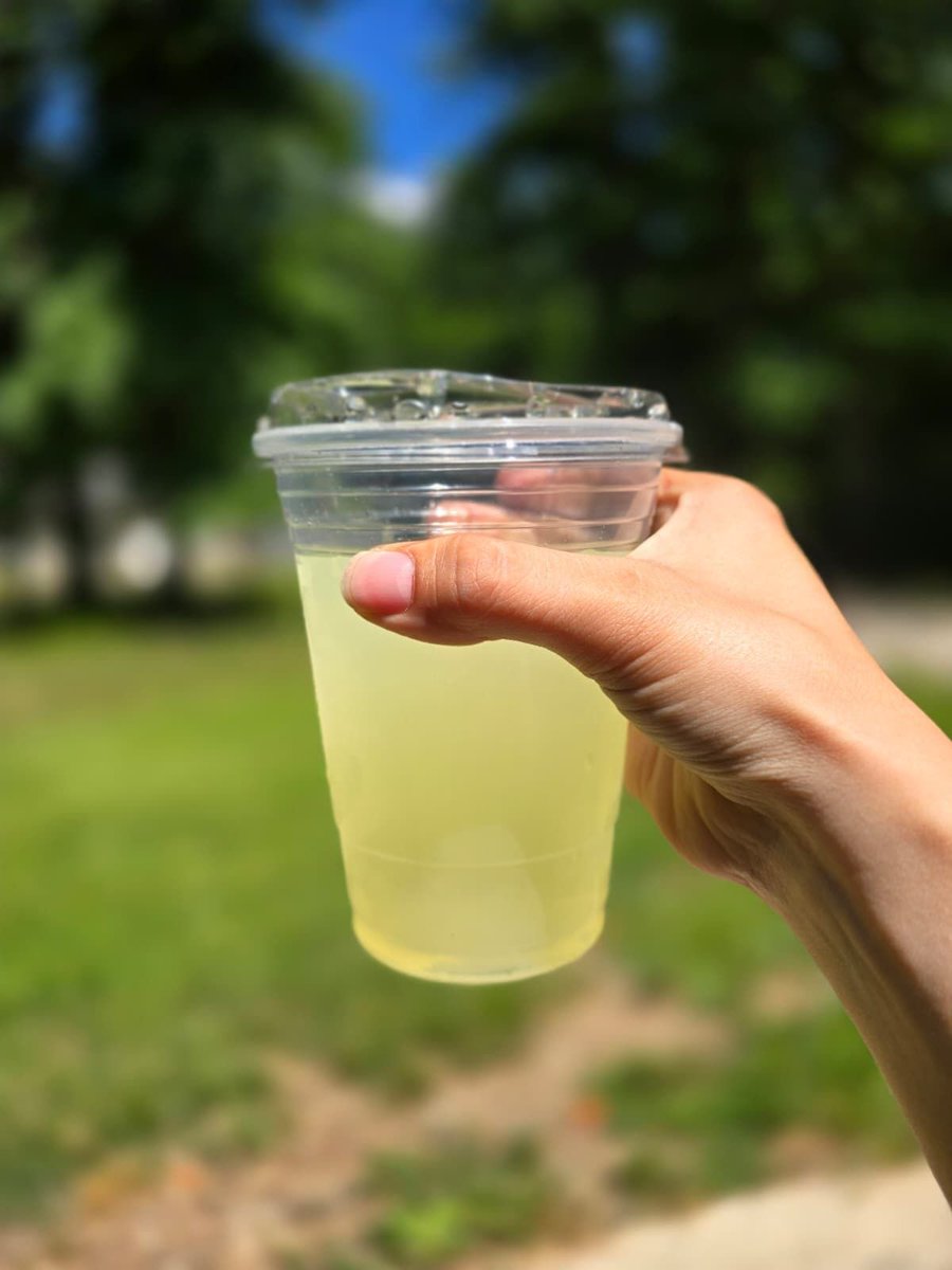 THCHouseStudio's tweet photo. Karissa pulled over for a lemonade stand today. Bought more than she needed, because that's what you do for someone's first sale.

Same reason she started The House of Curiosity.

Our own first this month: Open House, Friday July 31, 2 to 4 PM ET.

https://t.co/eFl3wAQxAc https://t.co/Jr4mAWmTlF