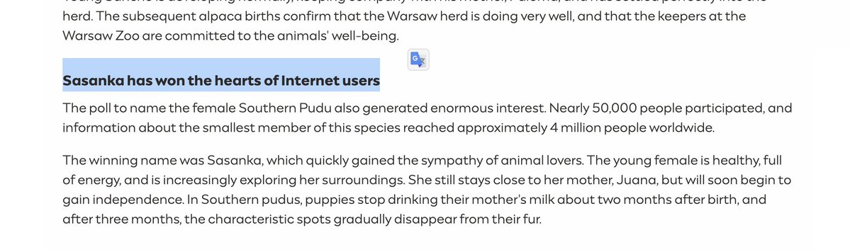 rightyochen's tweet photo. THIS ONE IS ACTUALLY HUGE.

The biggest zoo in poland (top 5 in EU) just held a poll for the naming of their newest animals and the official goverment website posted the results TODAY: https://t.co/OSWtGHbj21

Nearly 100,000 people participated in the poll. 

The pudo deer the most viral BY FAR out of all animals has just been named "Sasanka" with nearly 50,000 voting in their city and 4 million people worldwide. 

Reached several million recipients on almost all continents.

The title of the article states "Sasanka has won the hearts of Internet users"

it is going viral on their instagram too: https://t.co/ifcEE0uRje

It could actually be the next moodeng type narrative, posted by the goverment and everyone online loves Sasanka.

THIS IS SO GIGA.