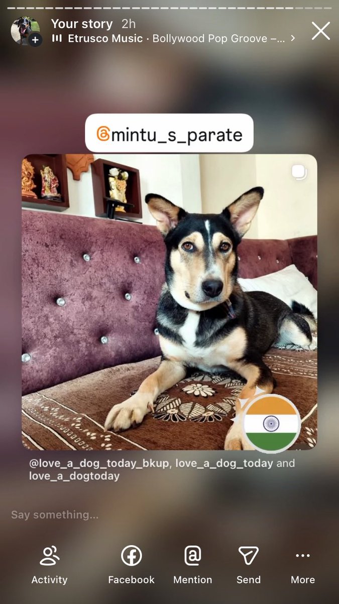 Anman248's tweet photo. Today’s Wednesday waggers

Follow on IG @love_a_dogtoday and @love_a_dog_today for the complete posts and profiles of these pups
.................
#dog #dogs  #loveadogtoday #loveadogday  #doglove #dogsoftwitter #twitterdogs #twitterdog https://t.co/w0cizILsNF