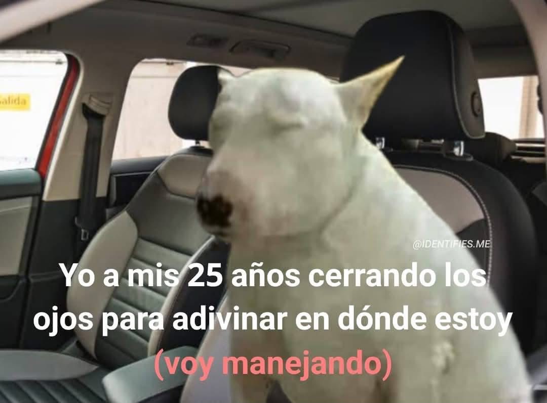 ElJeringasLoko's tweet photo. https://t.co/7itzlpNvIS