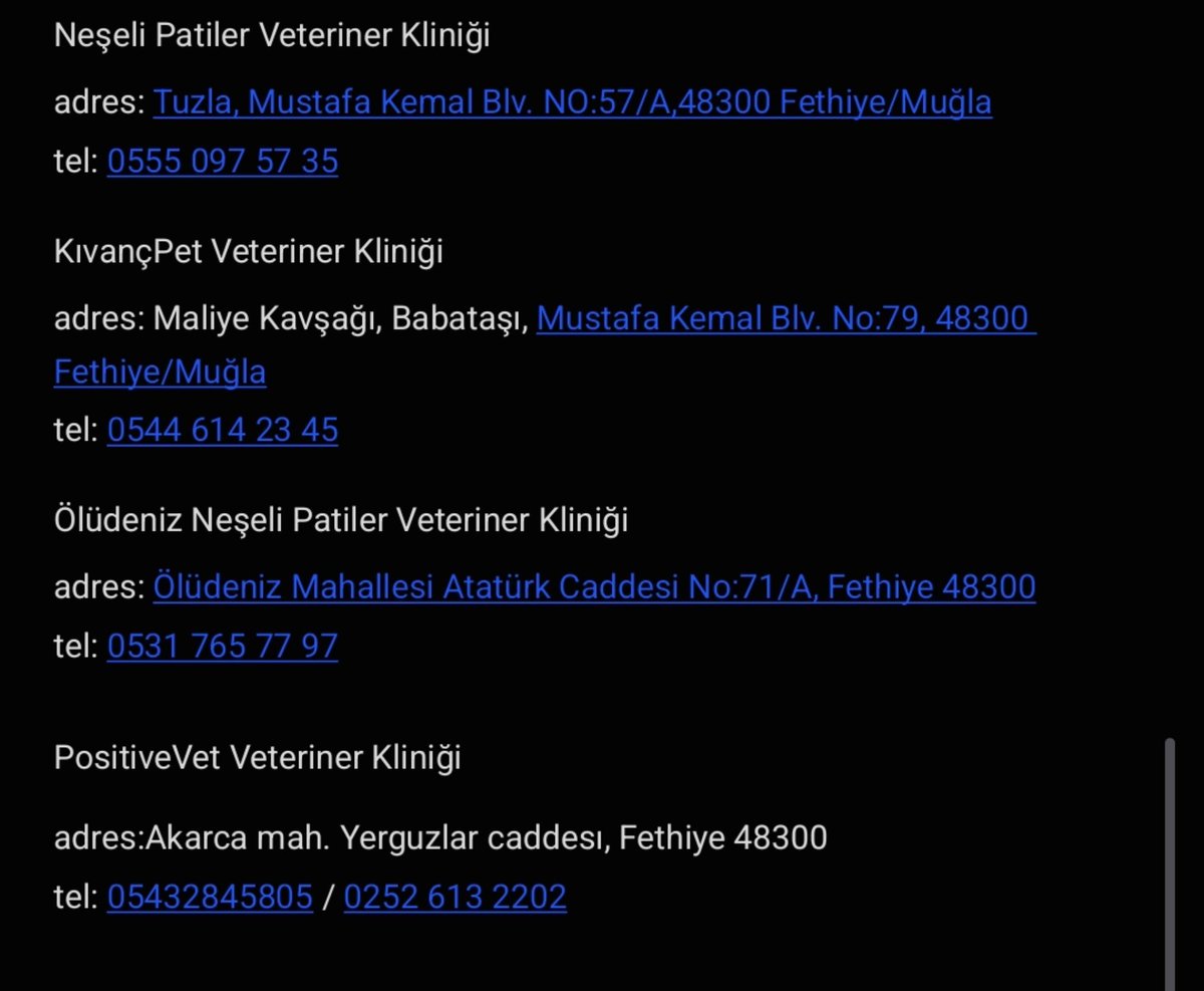 gokce tweet media