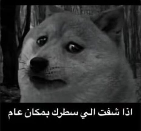 ixx_2iu's tweet photo. صايح يقول سد مأرب بعفويه على الاساس عارف وش هو 

حرفياً اذا شفت اللي سطرك https://t.co/oiNWcaW0es