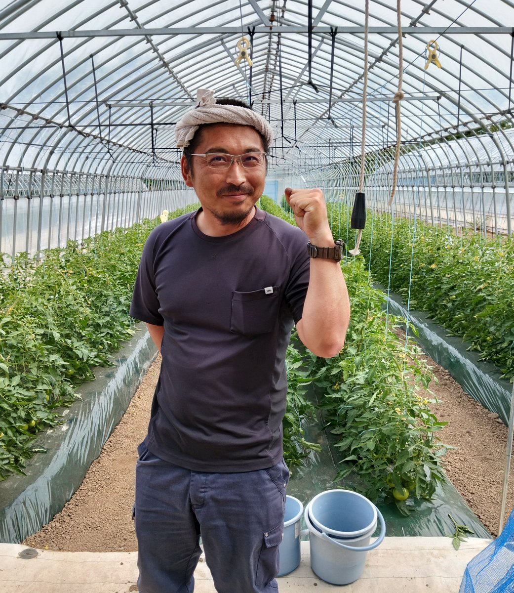 hiroto_yono's tweet photo. 白神山地のふもとで丹精こめて育てた元気の深浦トマト🍅

甘みと酸味のバランスが良く旨味のあるトマトです

生産者　大沢元気

#元気の深浦トマト https://t.co/yjoGnFeCfL