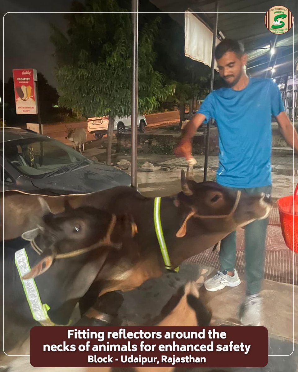 GreenSwelfares's tweet photo. Every life deserves care, protection, and a chance to live safely. Inspired by the humanitarian teachings of Saint Dr. Gurmeet Ram Rahim Singh Ji Insan, volunteers from Shah Satnam Ji Green 'S' Welfare Committee, Udaipur, Rajasthan, are fitting reflective collars around the necks of stray🐄 animals. This thoughtful initiative enhances their visibility at night, helping prevent road accidents while safeguarding both innocent animals and commuters.

Small acts of compassion can make our roads safer and our society kinder. Let's protect those who cannot speak for themselves.

#AnimalSafety #RoadSafety #StrayAnimalCare #ReflectiveCollars #SaveStrayAnimals #RoadAccidentPrevention #CareForAnimals #BeKindToAnimals