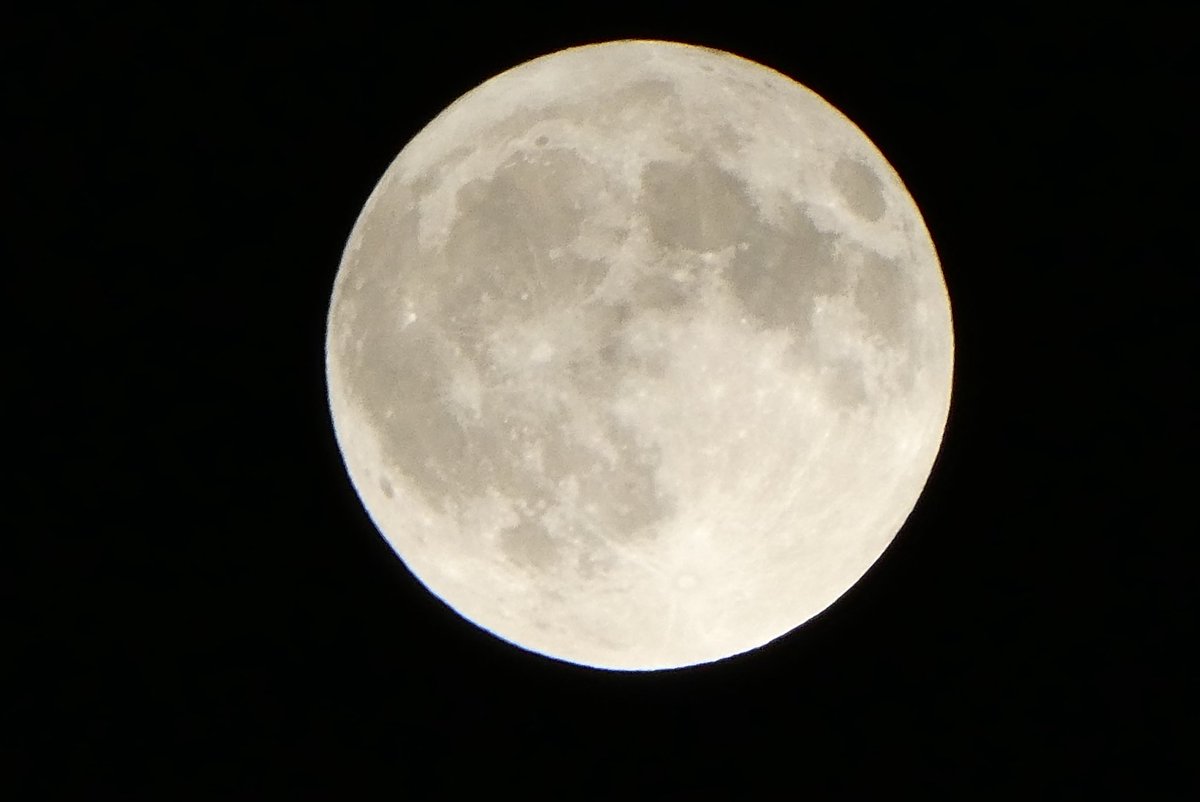 lion__42's tweet photo. .
#満月
#月
#moon
#バックムーン
#PanasonicLUMIXTZ99
#Panasonic
#LUMIX
#TZ99 https://t.co/aYNQa9QjwK