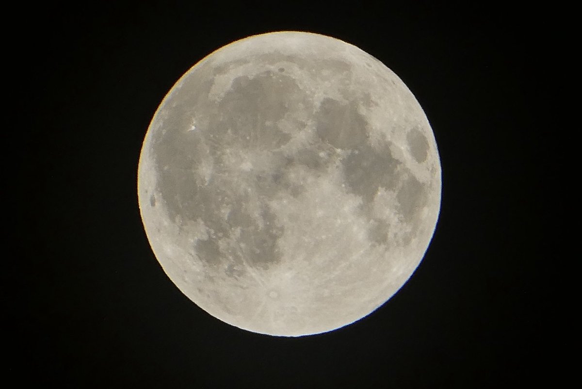 lion__42's tweet photo. .
#満月
#月
#moon
#バックムーン
#PanasonicLUMIXTZ99
#Panasonic
#LUMIX
#TZ99 https://t.co/aYNQa9QjwK