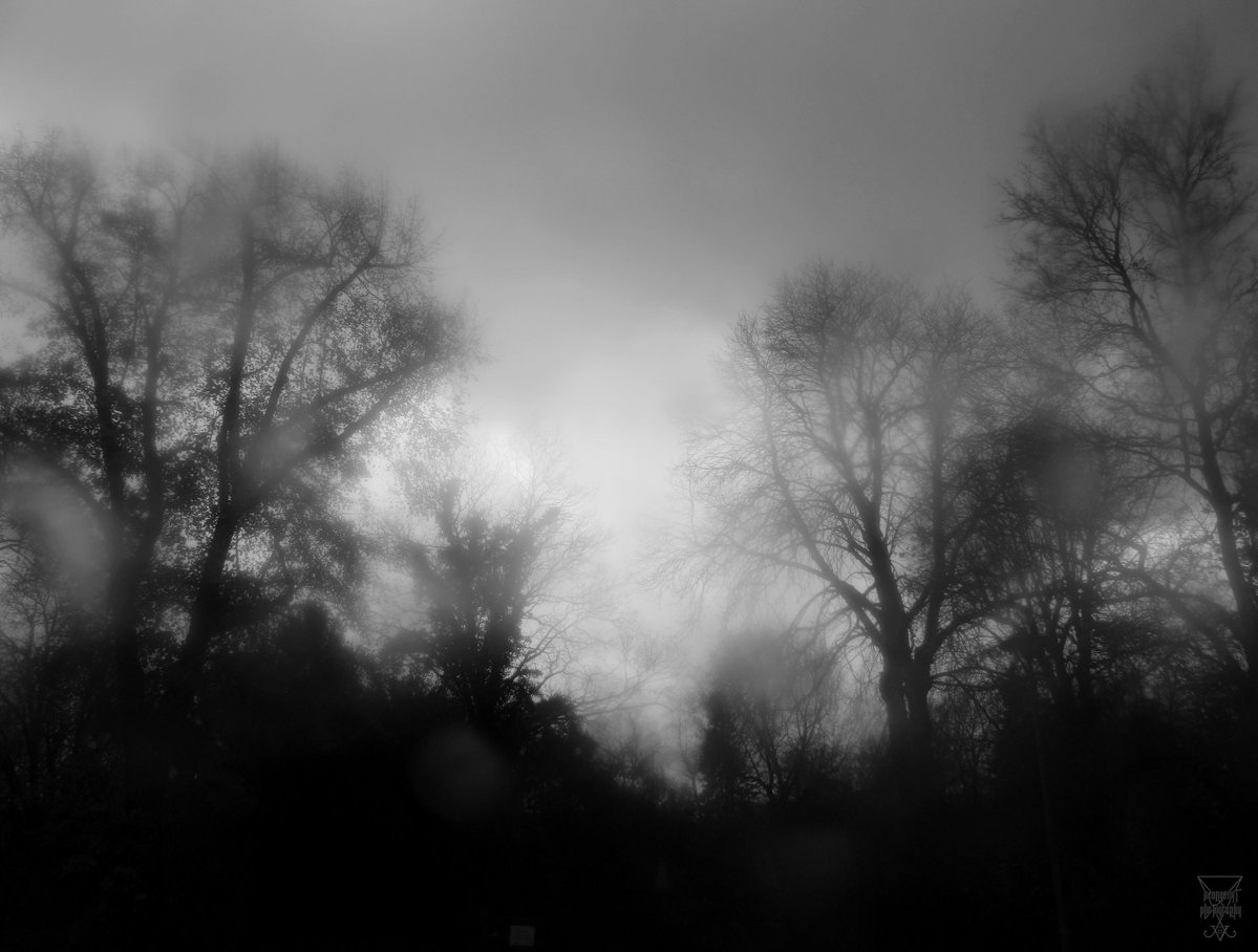 Wyntarkaelte's tweet photo. [-EΠD-]
2017 - The Fog Effect are Raindrops on the Lense
🎵: https://t.co/0gKAYShmHb

#PhotographyIsArt  #outdoor #outdoorphotography #nature #naturephotography #photography #filterphotography #blackandwhitephotography #timeexposure #timeexposurephotography #darkart #timeexposure https://t.co/Ofp0twlnNO