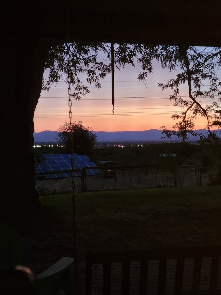 MysticalMayhm's tweet photo. Photo Challenge: 
Through a window

Please post a favorite shot you took through a window
📷🪟 https://t.co/eepl7Y6xZj