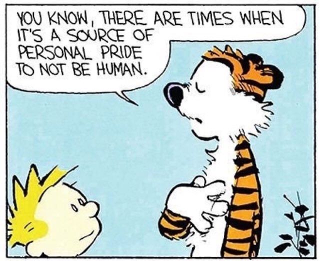Calvinn_Hobbes's tweet photo. Best friend, philosopher, occasional menace. Happy National Tiger Day to the greatest tiger of all. ❤️
#CalvinandHobbes #NationalTigerDay https://t.co/WBtojifniF