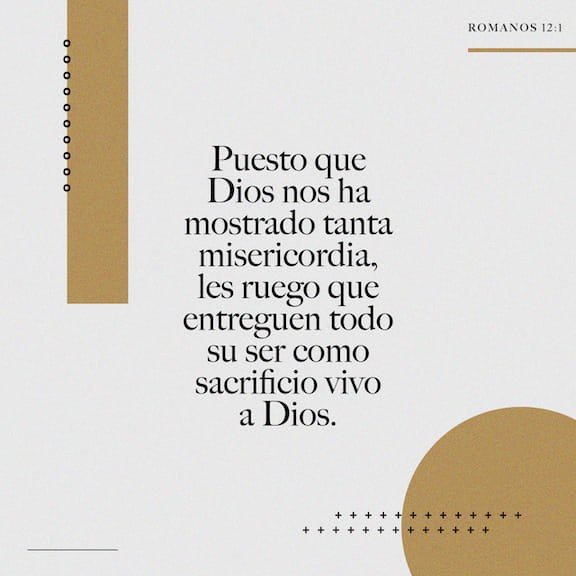 alexmejia316's tweet photo. Amén😌👏👏👌👆👑🙏🙌 #HagamosViralElNombreDeJesús porfavor sigan a https://t.co/jlfVmeWFsJ excelentes aportes musicales que espero sean de muchisima bendición para sus vidas mis hermanos😌👆👑🙏🙌 #YoSoyDeCristo #SoyGeneraciónDelReino #UsadosParaBendecir #BusquemosMásDeDios #GDC https://t.co/TwewiVKzIt