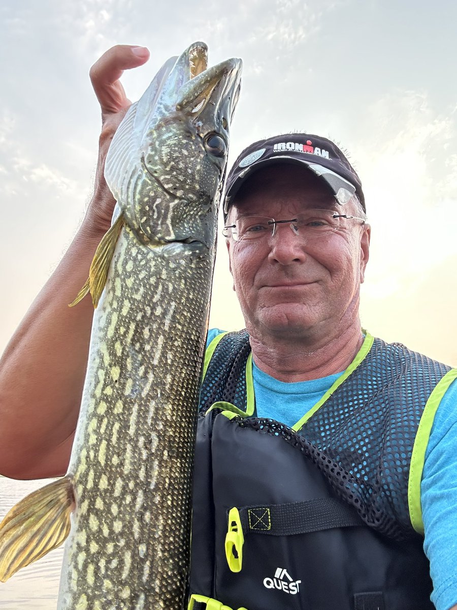 JohnBoelWAVE3's tweet photo. Pike starting to smash buzzbaits on surface.
Right on schedule.
I like pike. https://t.co/DSZ8sGhGEu