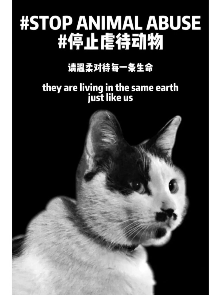 MaleficentLady's tweet photo. BOOOOOOST this please kind followers of mine!
Cats and kittens suffer the worst fates in China. Nightmarish torture and mutilation material I cannot bring myself to even type out without wanting to throw up. The same fates as Wang Wang and even somehow..... much, much worse 😭
Let's help our feline friends out too please 🐱🐈🐾🌻🌸☘️🪴
Where would we be without felines in our lives bringing joy to us? Where would the internet be without cats? Oh Long Johnson? Luna the treat crunching cat? "Huh?" Cat? Long Cat? Grumpy cat? Mr Kritters?
Give @felineguardians a follow, their website is a treasure-trove of ways to help cats in China concretely.
There is room in our hearts to help spread awareness and advocate for them all.
Thank you 🌷🌺😿🙏🏼❤️
#justiceforwangwang #wangwang #wantwant #旺旺 #Jieyang #chinacats #chinesecats #stopcrueltytocats #stopcrueltytokittens #cowcat