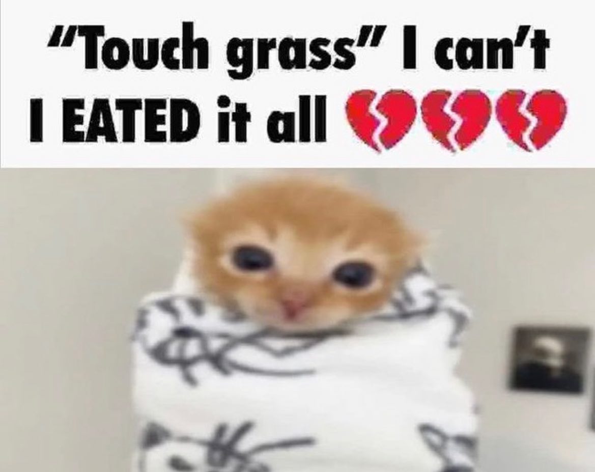 PunchingCat's tweet photo. https://t.co/gZOSlhCDeD