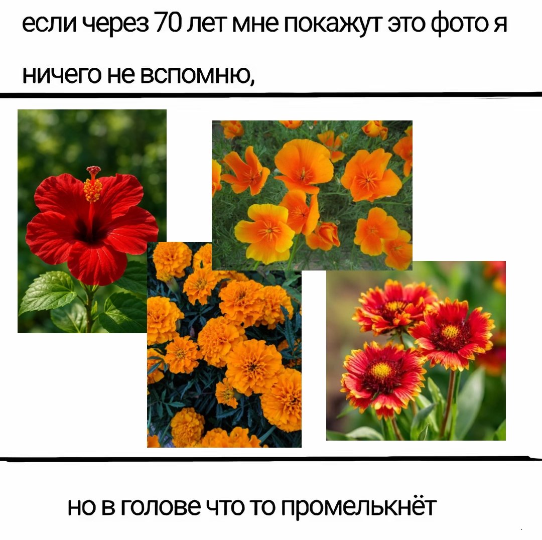 Romashkin9's tweet photo. #botanicalRoma
Римская империя, которую знает лишь я и её создатель

#арт #художник #иллюстрация #дизайнперсонажей #traditionalart https://t.co/9g4bWVG6SH