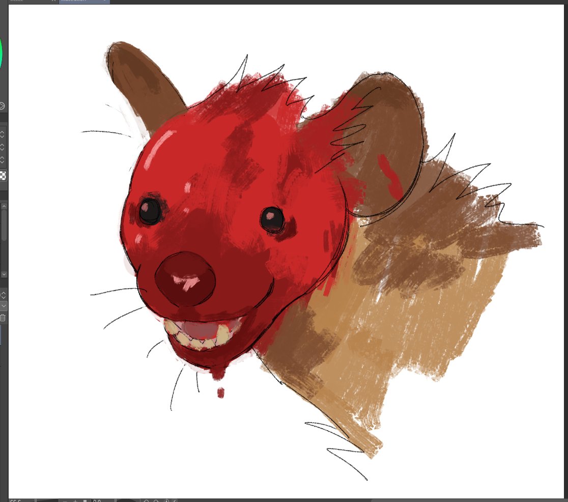 pocket mouse tweet media