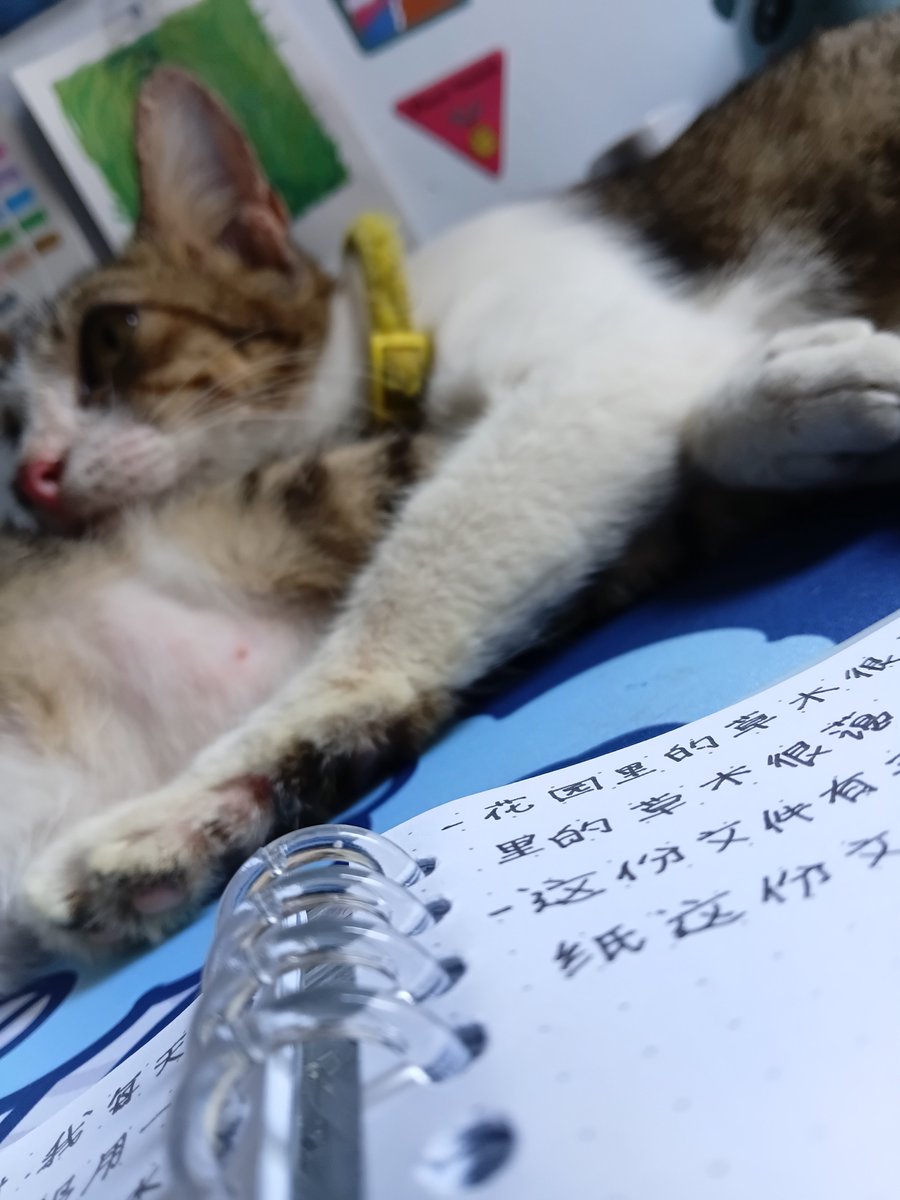 gmemesh tweet picture