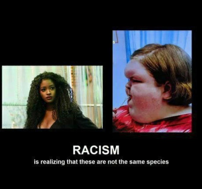 Bemerald2625's tweet photo. @Howling_Nigger @HdoctorrommelH https://t.co/Q61653X2Pm