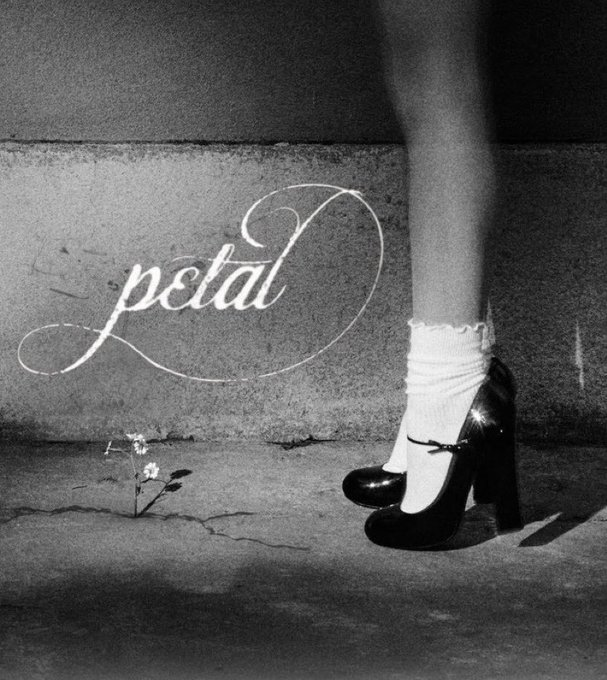 ArianaWorldHQ's tweet photo. “Petal” by Ariana Grande has reached 3.15M Spotify pre-saves ahead of tomorrow night’s release. https://t.co/QnL2wiyGkL