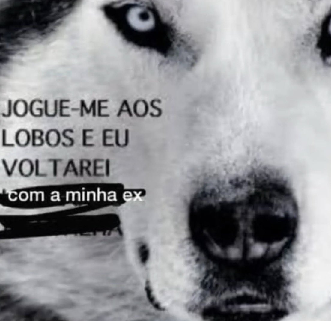 traposso's tweet photo. #verdade https://t.co/HRFLUDA87B