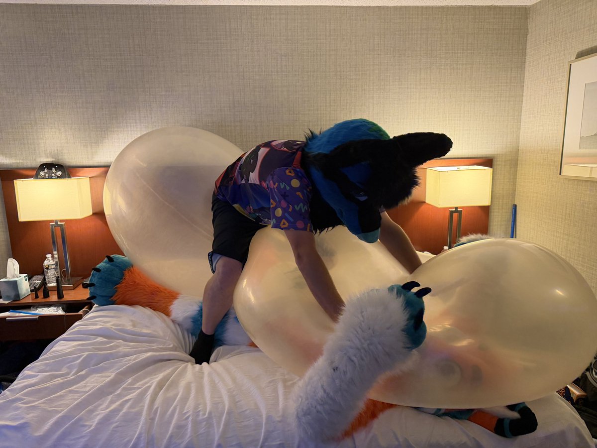 StickyCandyWuff's tweet photo. It’s not MY fault that you hovered a balloon over yourself while I was around! What did you think was going to happen? 😈😈💙💚

🐕 @da_spruce https://t.co/08YWjD4e7L