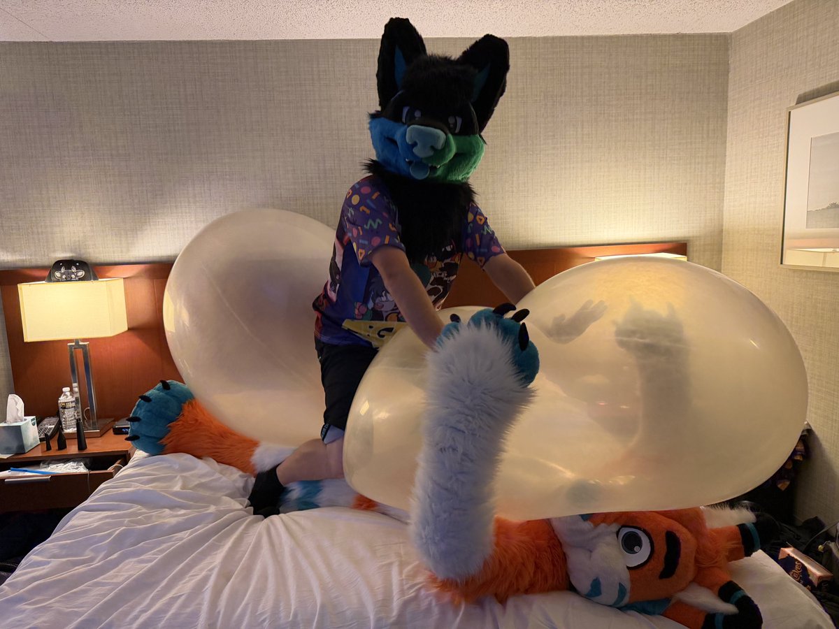 StickyCandyWuff's tweet photo. It’s not MY fault that you hovered a balloon over yourself while I was around! What did you think was going to happen? 😈😈💙💚

🐕 @da_spruce https://t.co/08YWjD4e7L