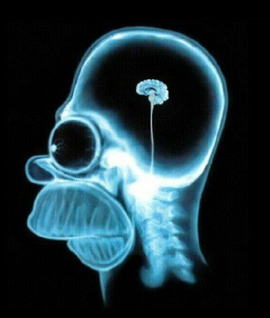 mitchelvaras's tweet photo. @DMatamala Cerebro de un comunista!!! https://t.co/I5k52mdKn9