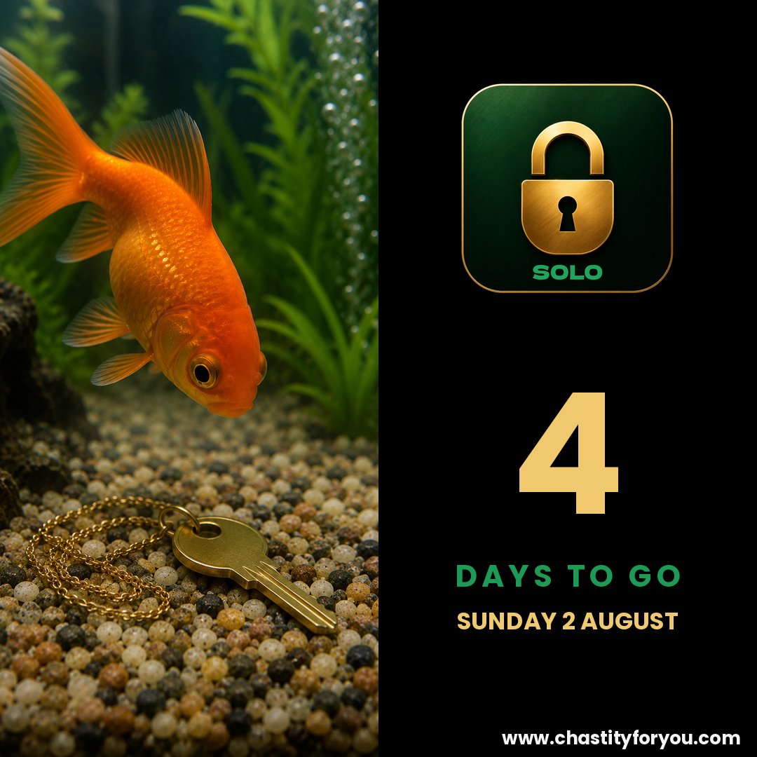 C4Y_Platform's tweet photo. New keyholder, no thumbs. The key sits on the gravel and the fish is not handing it over. Four days until Solo and Couples go free, Sunday 2 August.
https://t.co/LypIOe3HaN
#Chastity #AIKeyholder #LockedLife #C4Y https://t.co/IKQbtBnPIH