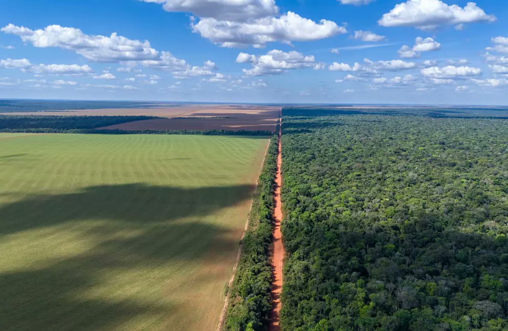 theGEF's tweet photo. The @theGEF has approved a $1.8 million initiative to expand adaptation finance for smallholder farmers and rural businesses in the 🇩🇴 Dominican Republic, 🇪🇨 Ecuador, and 🇸🇻 El Salvador. Implemented by @AgendaCAF and @GAWACapital.
To leran more: https://t.co/O83FtOhfyG https://t.co/I9RFq6ywi4