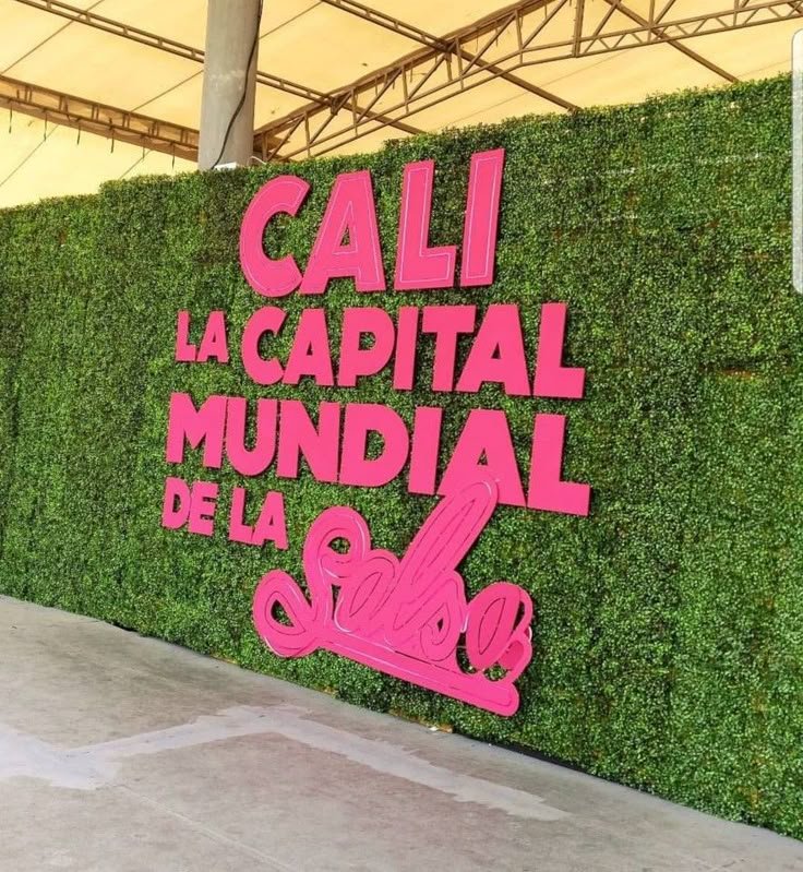 GroupLar's tweet photo. 🌴✨ ¡Cali, la sucursal del cielo y capital mundial de la salsa! 💃🕺

Déjate enamorar por su alegría, su cultura, su gastronomía y ese ritmo que solo se vive en nuestra ciudad. ❤️🎶

¡Cali te espera para vivir una experiencia inolvidable! 🌎🔥

#Cali #SucursalDelCielo https://t.co/UFROLJK72C