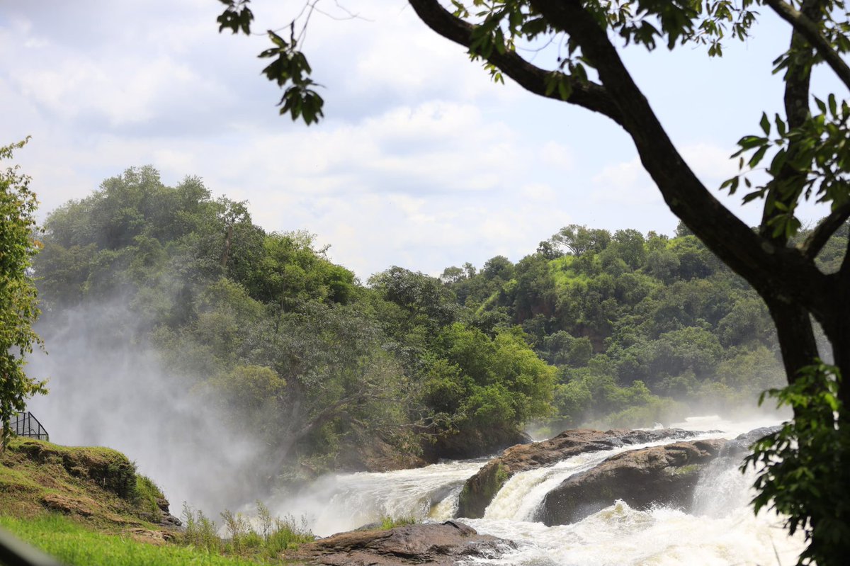 ugwildlife's tweet photo. We've officially concluded our first #UWAOpenParkDays influencer trip to Murchison Falls NP.
Hear our creators reflect on the experience, share what inspired them most, and their vision for Uganda's tourism.
Next stop: Lake Mburo and Queen Elizabeth National Parks. Stay tuned! https://t.co/WsfRea9t8I