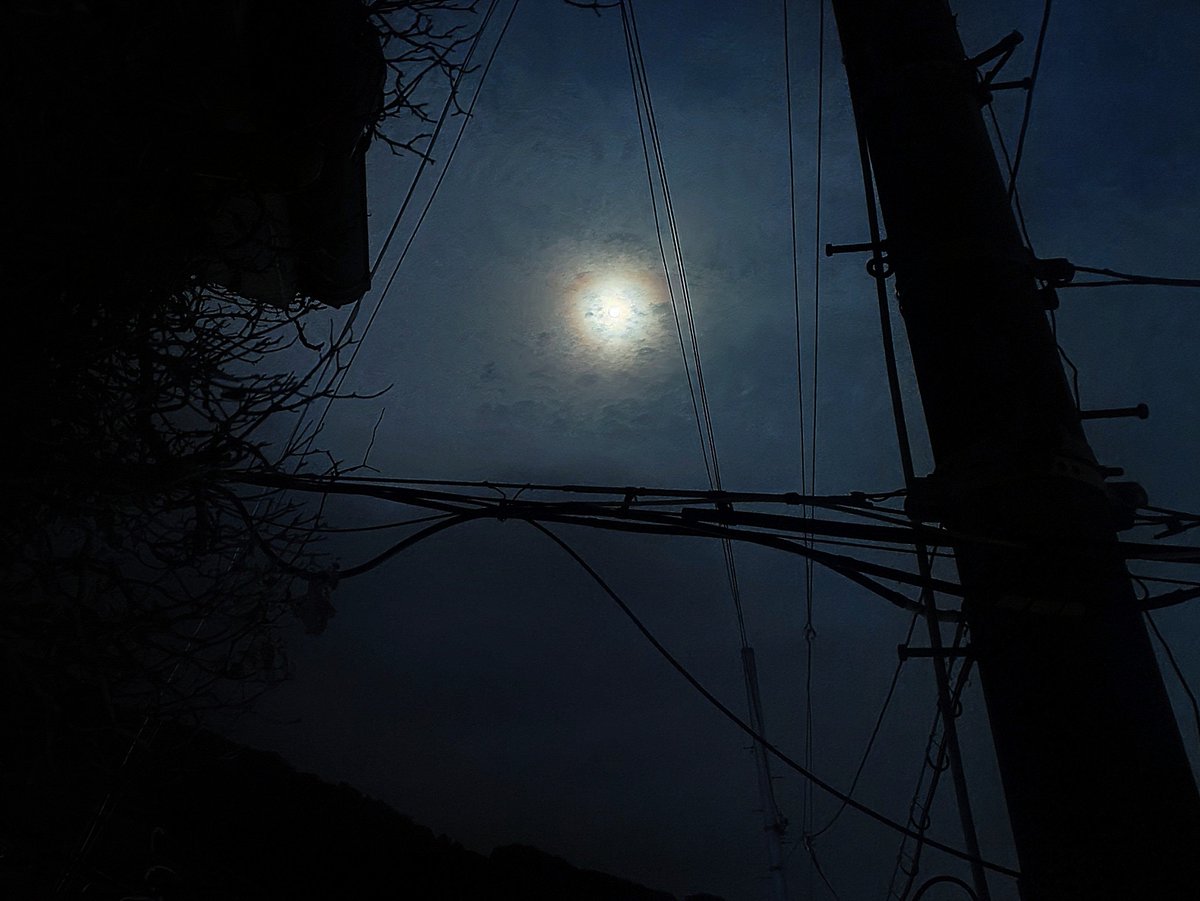 AkiraUeda69's tweet photo. 今夜は満月なんだね
相変わらずぼやけた写真しか撮れなかったな

#満月 
#自宅から見た空 https://t.co/QOmJH1u4NW