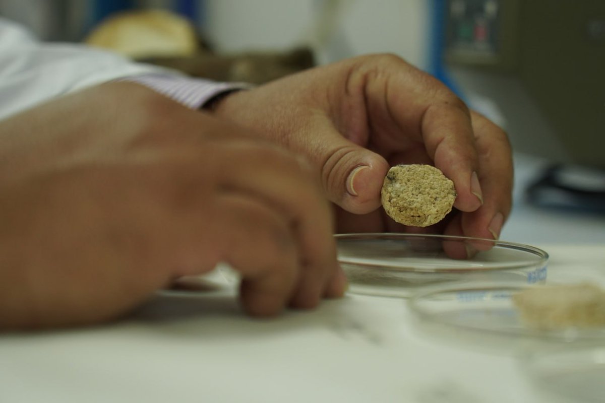 fonacit_ve's tweet photo. #Conoce || IVIC desarrolla investigación bioquímica para la extracción de mucílagos en tubérculos nacionales 🧑🔬🥔
Investigación, financiada y respaldada por
#Fonacit gracias a los recursos recaudados vía #LOCTI.
+Info: https://t.co/16VvKjds3X https://t.co/MnYA0rzkxh