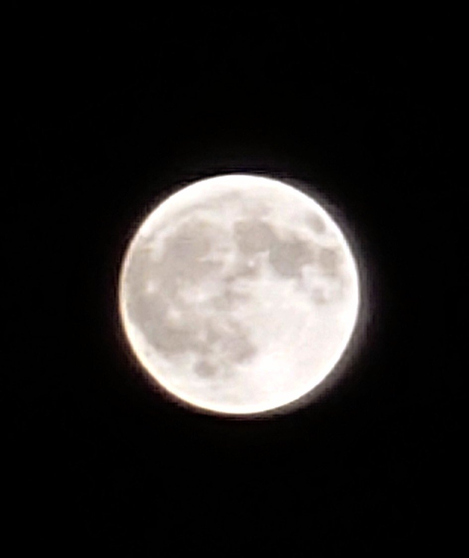 JACKIE_VAIO's tweet photo. 昨日は満月🌕
バックムーンを見ましたか❓ https://t.co/cujmZN2HMY