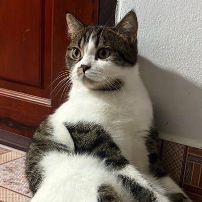 bmii8q's tweet photo. #NewProfilePic https://t.co/hfEzlnOV2v